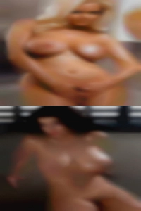 Bonjour a pussy tous.